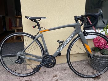Used Willier Wilier Garda- Ultegra 11 Speed - Small 2024 Road & Gravel