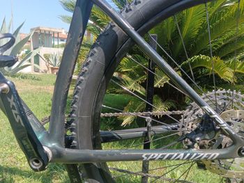 Used Specialized Epic Hardtail Comp 2021 2021 Mountainbike, Green, 29 — image 5 of 9