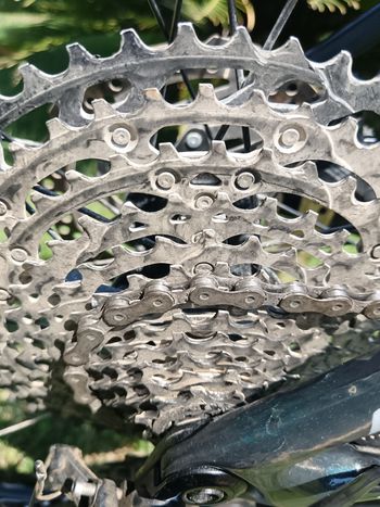 Used Specialized Epic Hardtail Comp 2021 2021 Mountainbike, Green, 29 — image 2 of 9