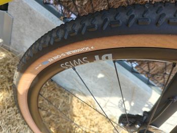 Canyon Grail CF 7 2026 2026 Road & Gravel usato, Arancione — immagine 8 di 13