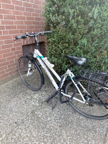 Used Pegasus Solero SL 2018 2018 Road & Gravel