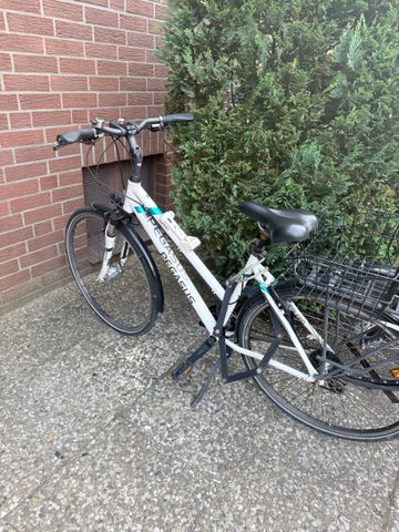 Brugt Pegasus Solero SL 2018 2018 Road & Gravel