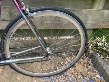 Used Colnago Decor Campagnolo Chorus 1997 Road & Gravel, Red — image 5 of 19