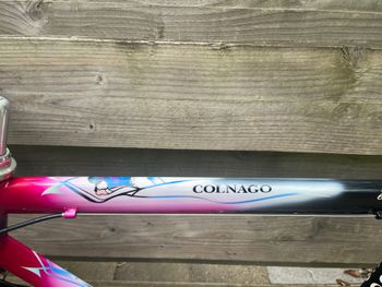 Used Colnago Decor Campagnolo Chorus 1997 Road & Gravel, Red — image 3 of 19