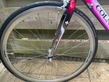 Used Colnago Decor Campagnolo Chorus 1997 Road & Gravel, Red — image 11 of 19