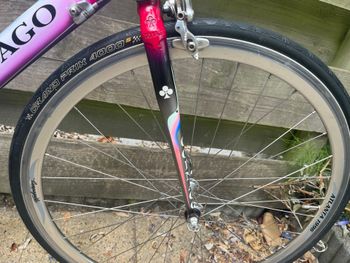 Used Colnago Decor Campagnolo Chorus 1997 Road & Gravel, Red — image 17 of 19