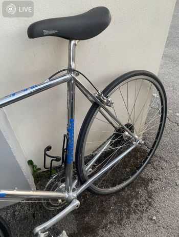 Used Bottecchia Custom Campagnolo Chorus 1978 Road & Gravel, Light Gray — image 6 of 6