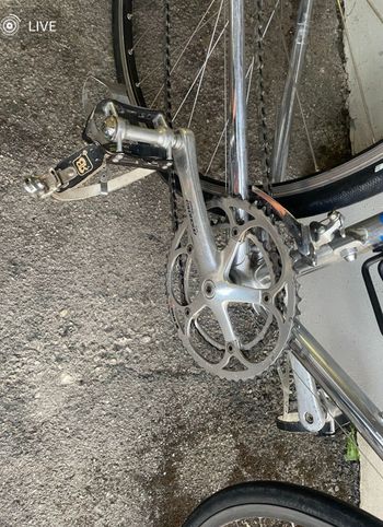 Used Bottecchia Custom Campagnolo Chorus 1978 Road & Gravel, Light Gray — image 3 of 6