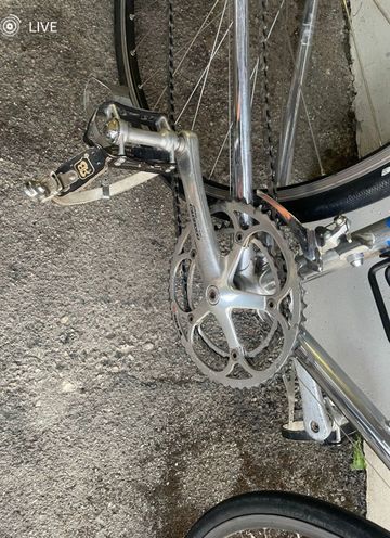 Used Bottecchia Custom Campagnolo Chorus 1978 Road & Gravel, Light Gray — image 3 of 6