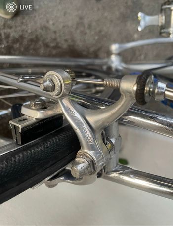 Used Bottecchia Custom Campagnolo Chorus 1978 Road & Gravel, Light Gray — image 5 of 6