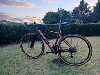 Used Canyon Grail 7 WMN 2021 2021 Road & Gravel