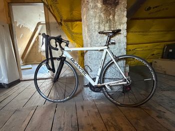 Gebrauchtes Quantec Custom Shimano Ultegra 2011 Road & Gravel, Weiß — Bild 2 von 4