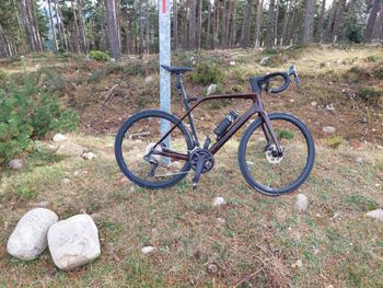 Used Lapierre Xelius SL 8.0 2024 2024 Road & Gravel