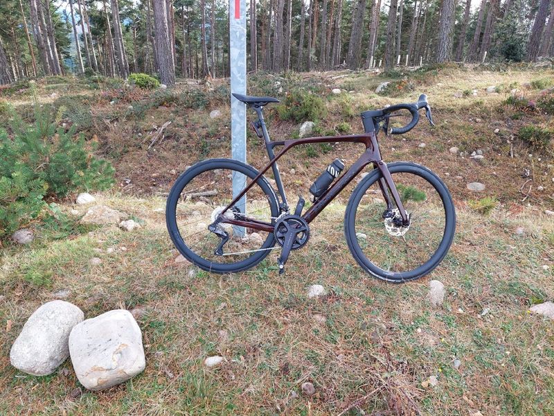Used Lapierre Xelius SL 8.0 2024 2024 Road & Gravel