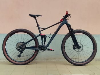 Gebrauchtes Radon Skeen Trail 9.0 2019 2019 MTB