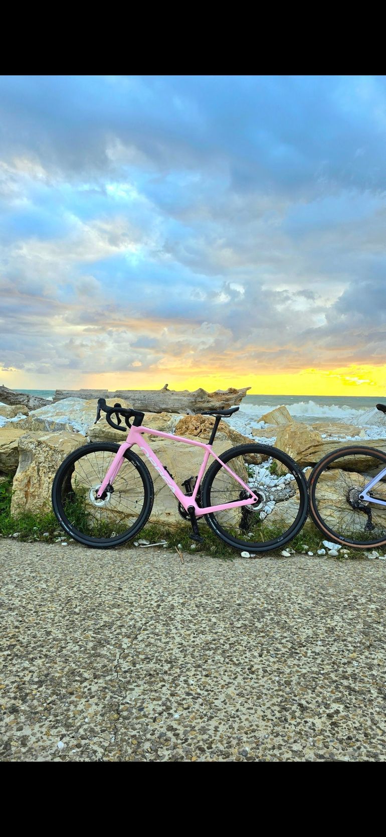 Brugt Orbea TERRA M20TEAM 2024 2024 Road & Gravel — billede 1 af 3