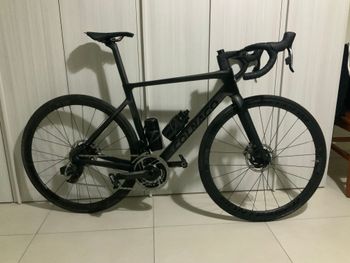 Used Colnago V4 Re 2023 Frameset 2023 Road & Gravel