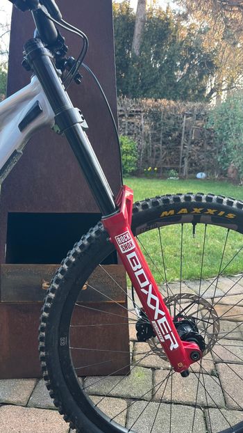 Used Rose Scrub DC 3 2025 2025 Mountainbike, Light Gray, 29 — image 3 of 7