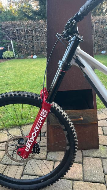 Used Rose Scrub DC 3 2025 2025 Mountainbike, Light Gray, 29 — image 4 of 7