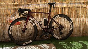 Used Specialized Allez 2024 Frameset 2024 Road & Gravel, Red — image 4 of 4
