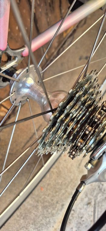 Tweedehands Cilo Custom Campagnolo Chorus 1995 Road & Gravel — afbeelding 5 van 14