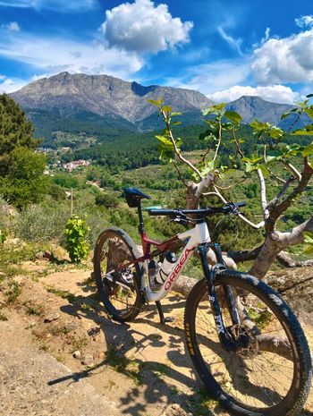 Orbea OIZ H20 2024 2024 Mountainbike usato, Bianco — immagine 3 di 3