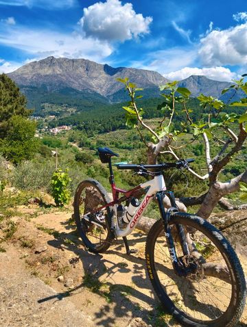 Used Orbea OIZ H20 2024 2024 Mountainbike, White, 29 — image 3 of 12