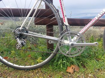 Brugt Colnago Master Campagnolo Super Record 1989 Road & Gravel — billede 3 af 5