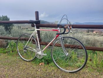 Brugt Colnago Master Campagnolo Super Record 1989 Road & Gravel — billede 2 af 5