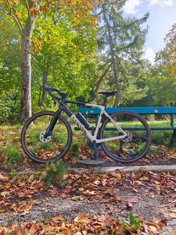 Brugt Canyon Grail CF SL 7 2024 2024 Road & Gravel — billede 2 af 6