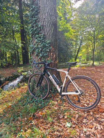 Brugt Canyon Grail CF SL 7 2024 2024 Road & Gravel — billede 3 af 6