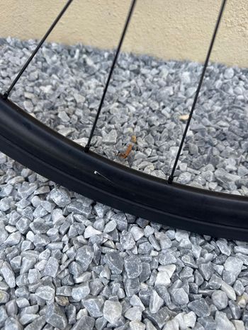 Canyon Endurace 6 2024 2024 Road & Gravel usato, Nero — immagine 6 di 10