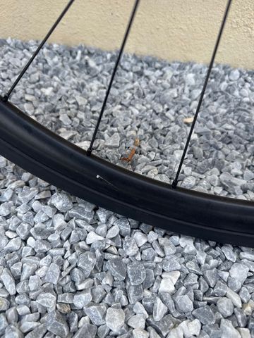 Canyon Endurace 6 2024 2024 Road & Gravel d'occasion — image 6 sur 10