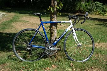 Brugt Batavus Roadracer Sport 2005 Road & Gravel
