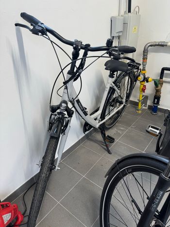 Gebrauchtes Pegasus Solero SL 24 Wave 2023 2023 Urban & Touring