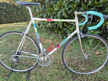 Used Carrera Custom Other Shimano 1990 Road & Gravel