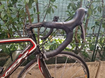 Použité Nuzzi NSR Orbit 2012 Road & Gravel — obrázek 6 z 12