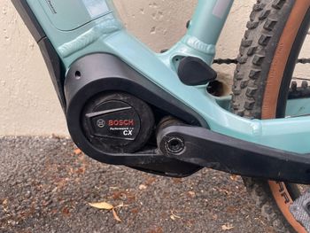 Used BULLS SONIC EVA 29 2024 2024 Mountainbike, Blue, 29 — image 2 of 7