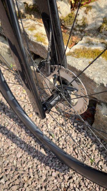 Gebrauchtes Focus PARALANE 8.9 2024 2024 Road & Gravel, Schwarz — Bild 9 von 15