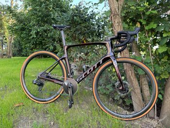Used Scott Foil Ultimate disc 2019 2019 Road & Gravel