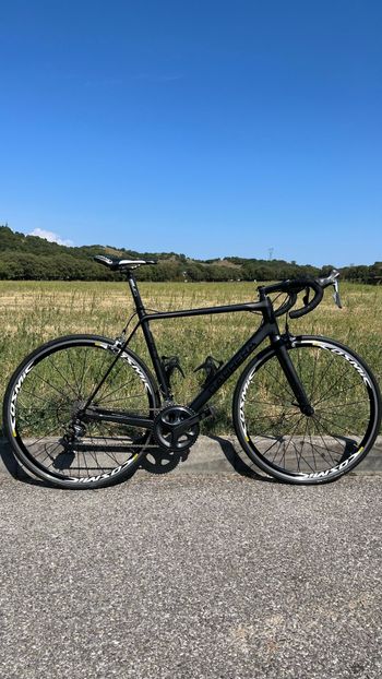 Used Carrera SL7 Shimano Ultegra 2017 Road & Gravel