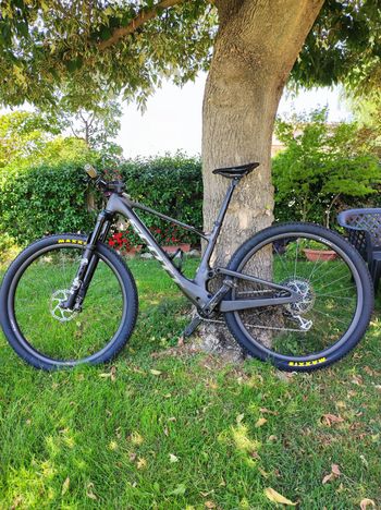 Used Scott Spark RC Team 2022 2022 MTB