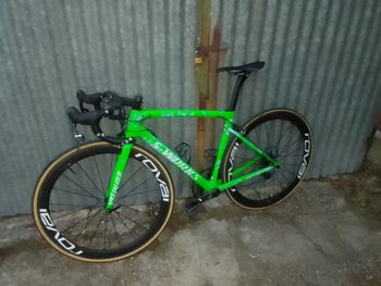 Used S Works Custom Frameset 2023 Road & Gravel, Green — image 2 of 4