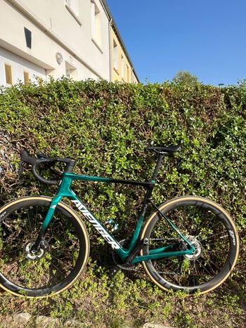 Used AVENGER Custom Frameset 2025 Road & Gravel, Green — image 13 of 13