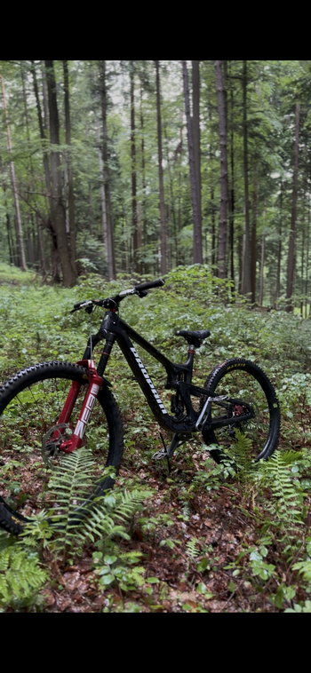 Gebrauchtes Propain Spindrift SRAM GX Eagle AXS 2025 Mountainbike, Schwarz — Bild 13 von 15