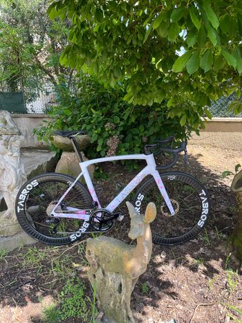 Used Tabros Custom Frameset 2026 Road & Gravel, White — image 3 of 4