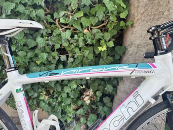 Used Bianchi Nirone Shimano Sora 2014 Road & Gravel, White — image 3 of 8