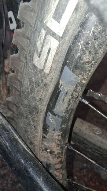 Brugt Canyon Strive SRAM X0 2017 Mountainbike — billede 7 af 8