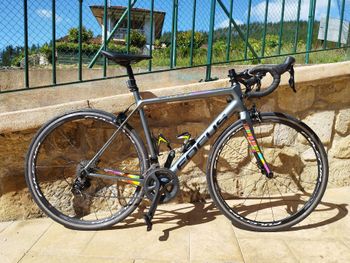 Used Focus Izalco Shimano 105 2019 Road & Gravel