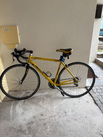 Used Rauler Custom Shimano 105 2000 Road & Gravel